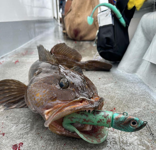 Fishing for Lingcod and Rockfish: Mastering the Art with Lingcodjigs.com