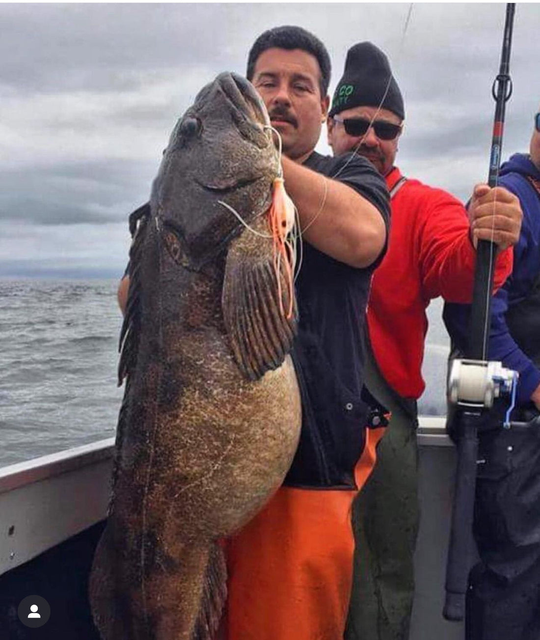 Mastering the Deep: Best Jigs and Swimbaits for Lingcod Fishing