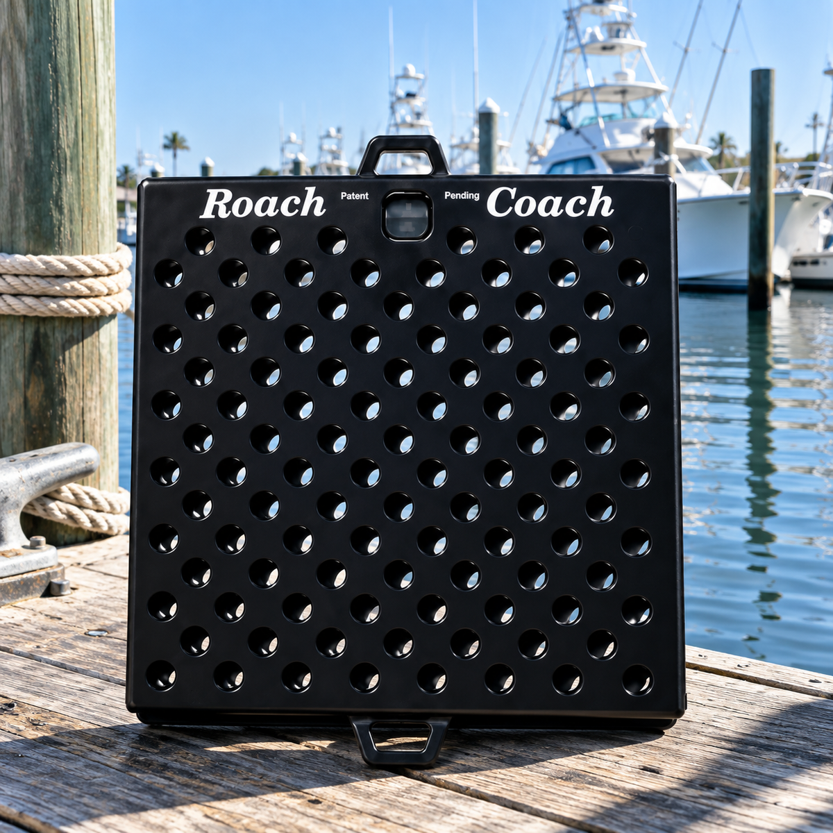 Black Widow Roach Coach bait cage box for crab Lobster hoopnet chum
