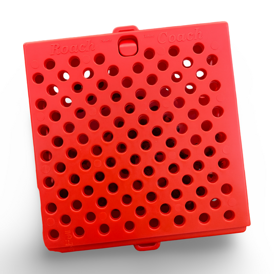 Black Widow Roach Coach bait cage box for crab Lobster hoopnet