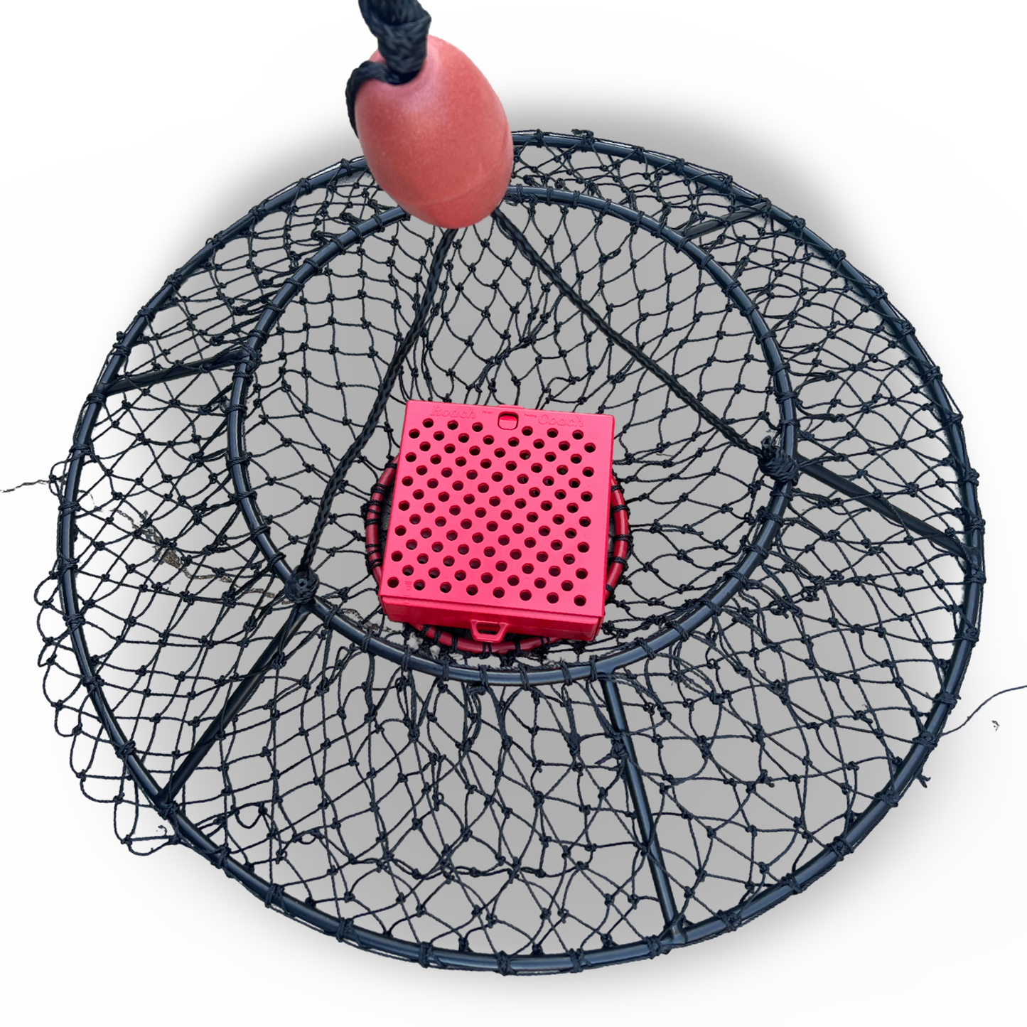 Black Widow Roach Coach bait cage box for crab Lobster hoopnet