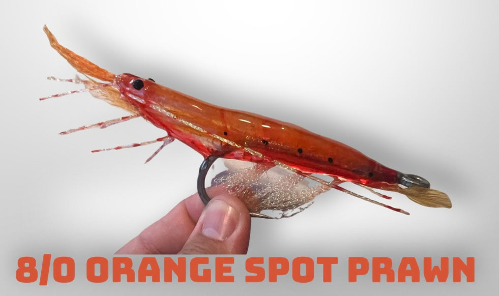 8/0 Spot Prawn Fly