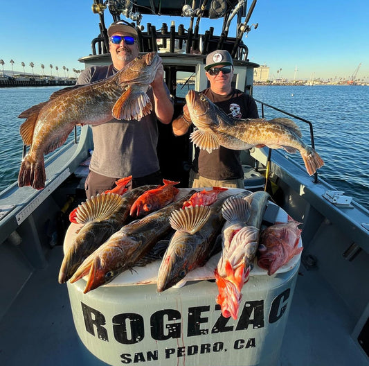 A lingcod adventure with Rogezac Sportfishing Charters in Southern California