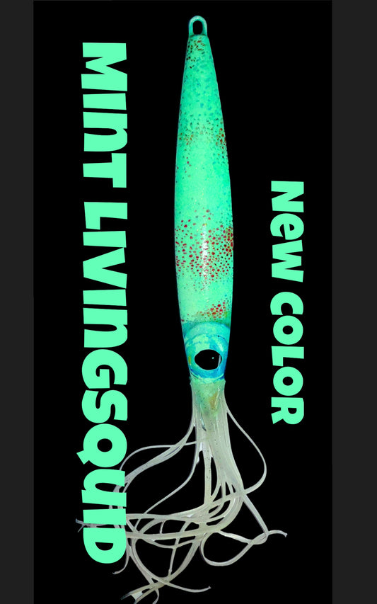 Mint LivingSquid